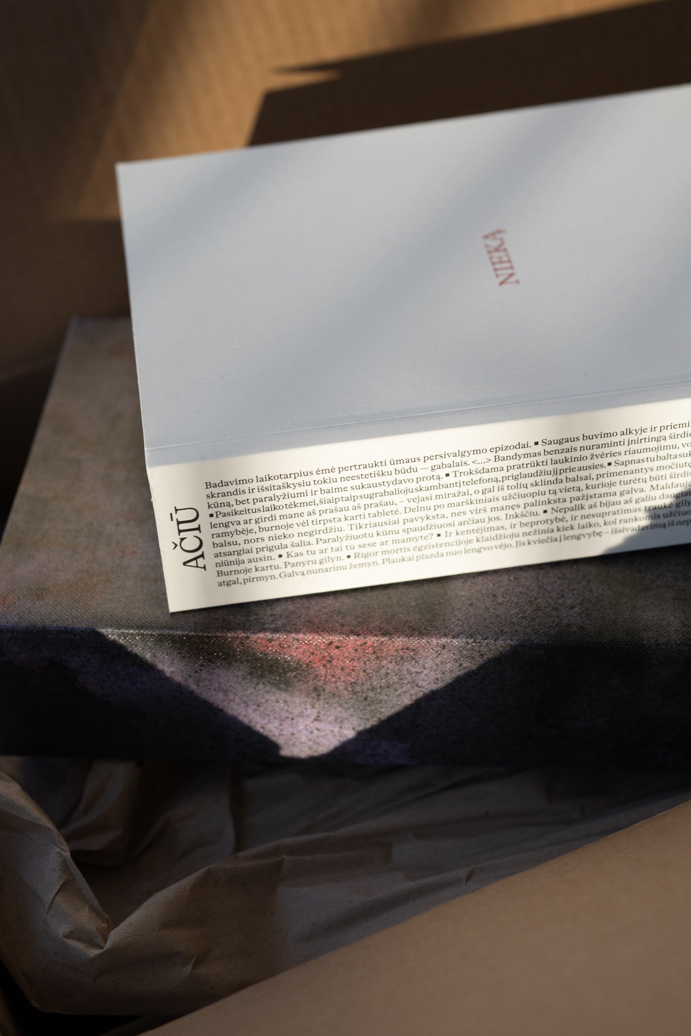 Knyga „Ačiū už nieką / Ačiū už viską“