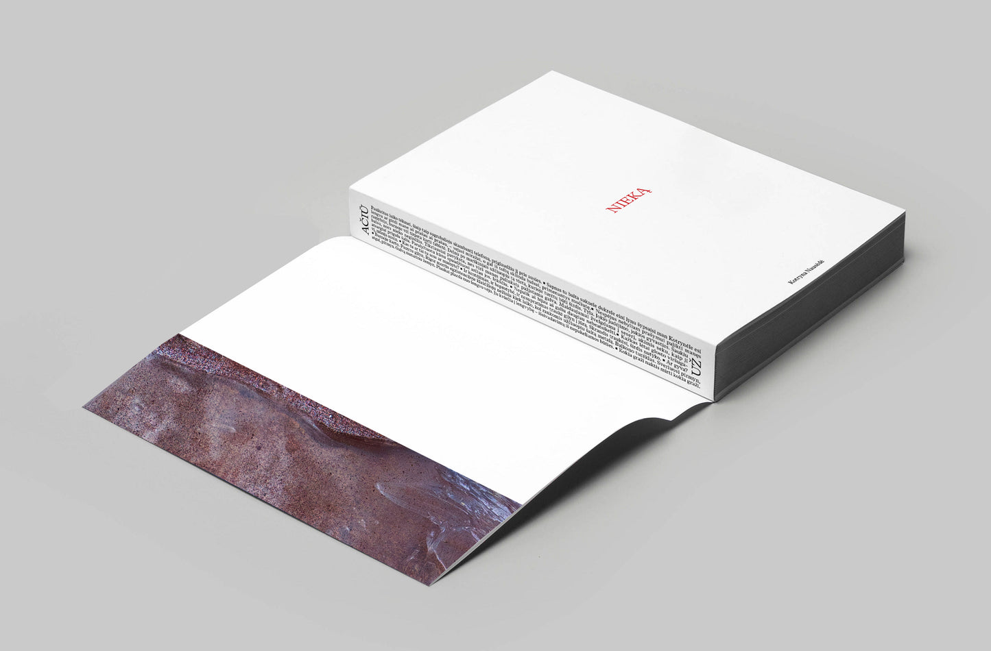 Knyga „Ačiū už nieką / Ačiū už viską“