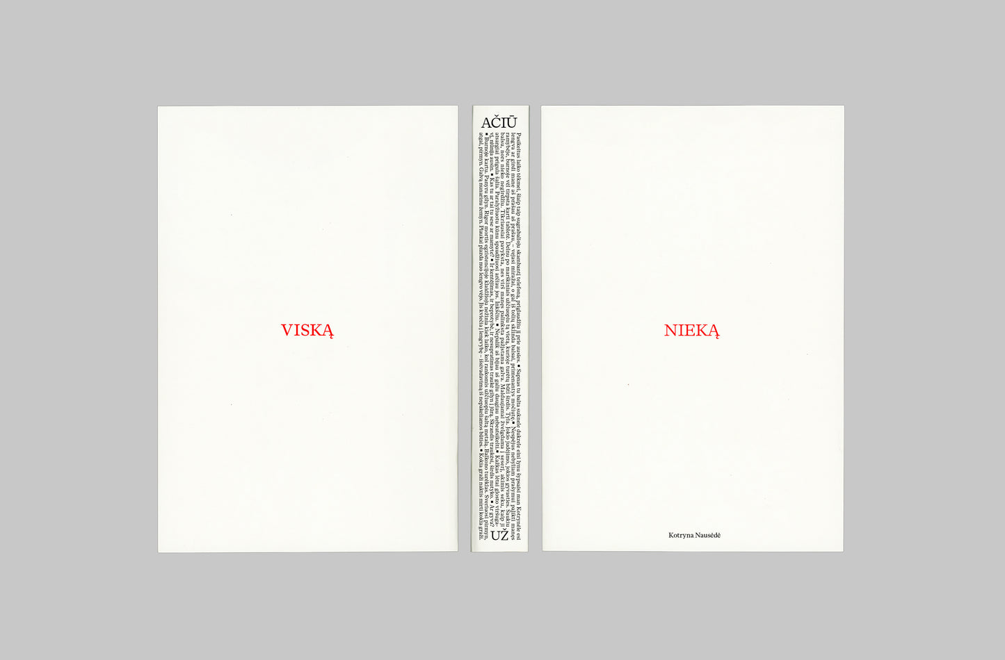 Knyga „Ačiū už nieką / Ačiū už viską“