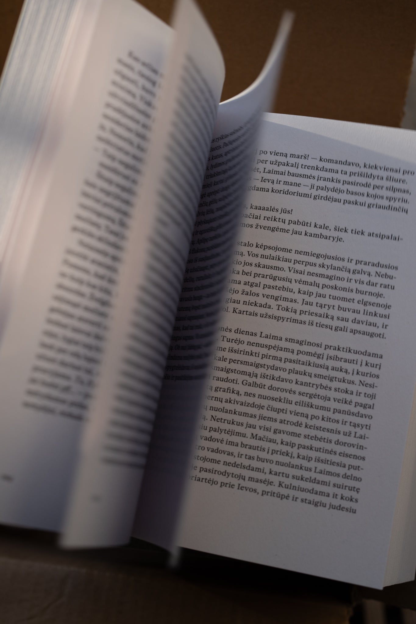 Knyga „Ačiū už nieką / Ačiū už viską“