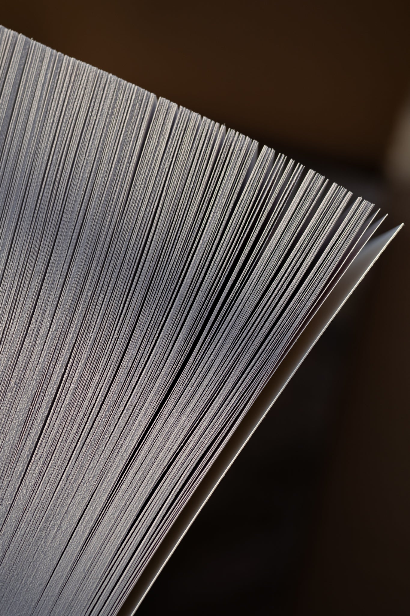 Knyga „Ačiū už nieką / Ačiū už viską“